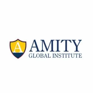 Amity Global Institute